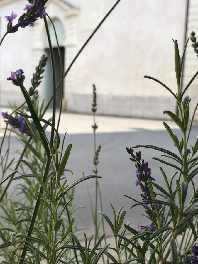 Fontevraud Maison De Ville Bnb المظهر الخارجي الصورة